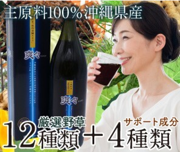 [12種＋4種]沖縄県産の健康素材を凝縮した発酵飲料